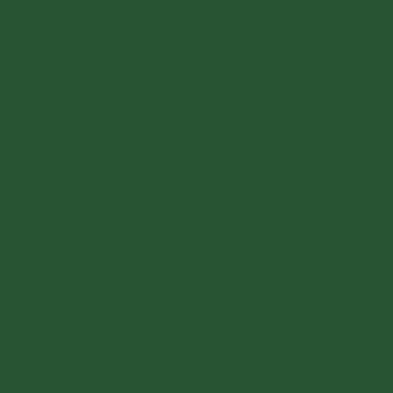 vrchna-farba-syntetika-06-l-2478-18_chemolak-syntetika-zelena-stredna-dobrykutil-sk.png